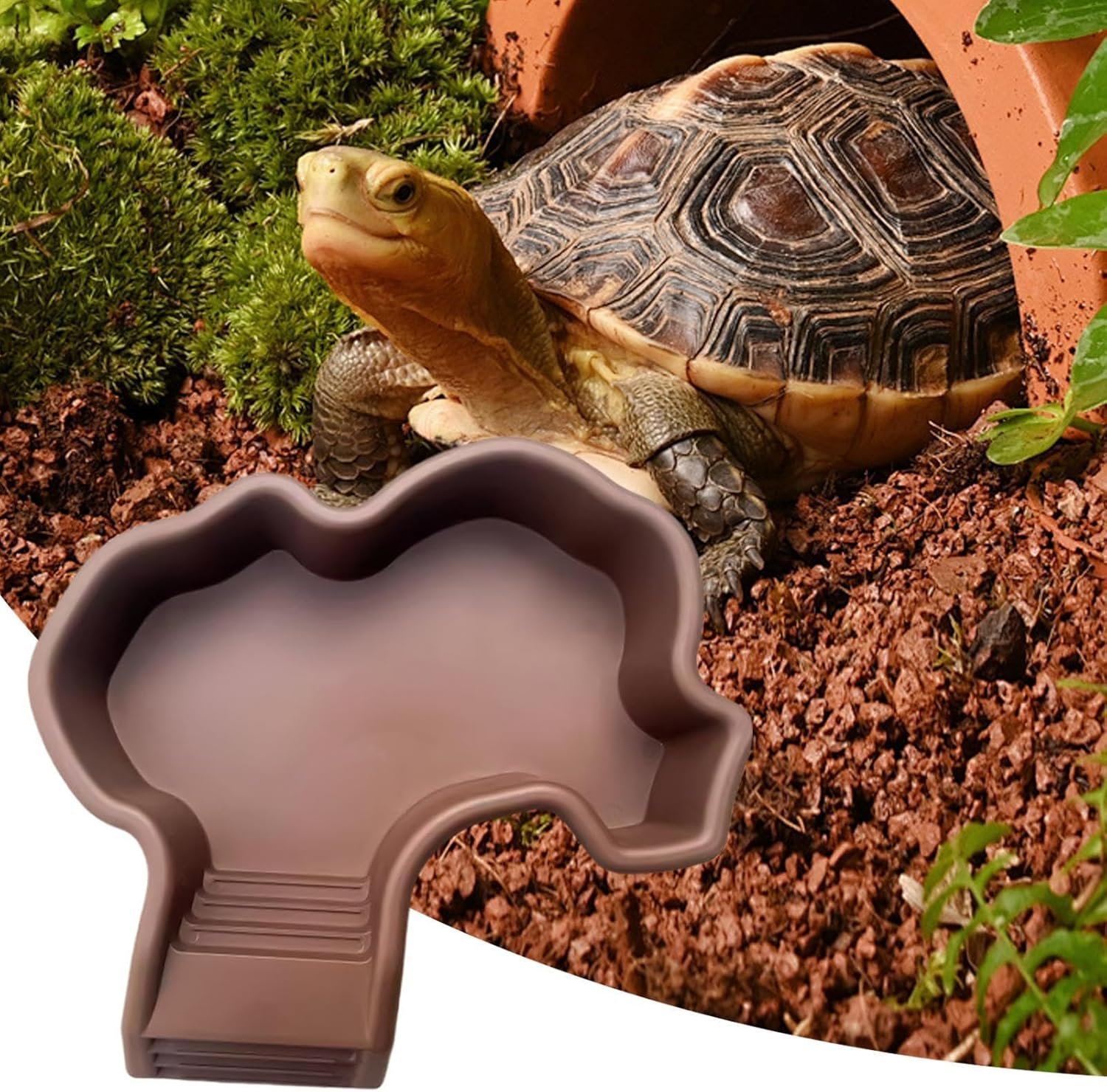 81UNO7Kgd3L. AC SL1500 .jpg