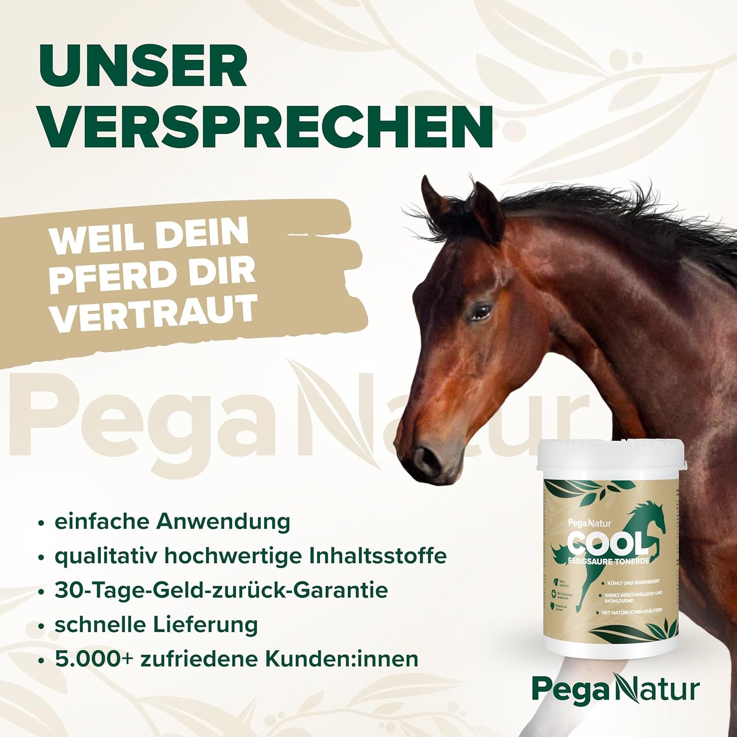 81Ua3pKVi0L. AC SL1500 .jpg