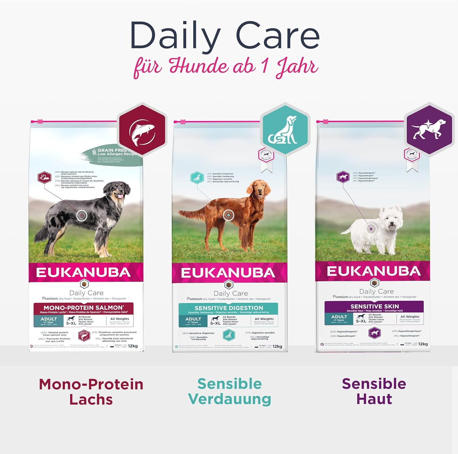 81V6JUGkgBL. AC SL1500 .jpg