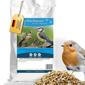 81VOdqUtb4L. AC SL1500 .jpg