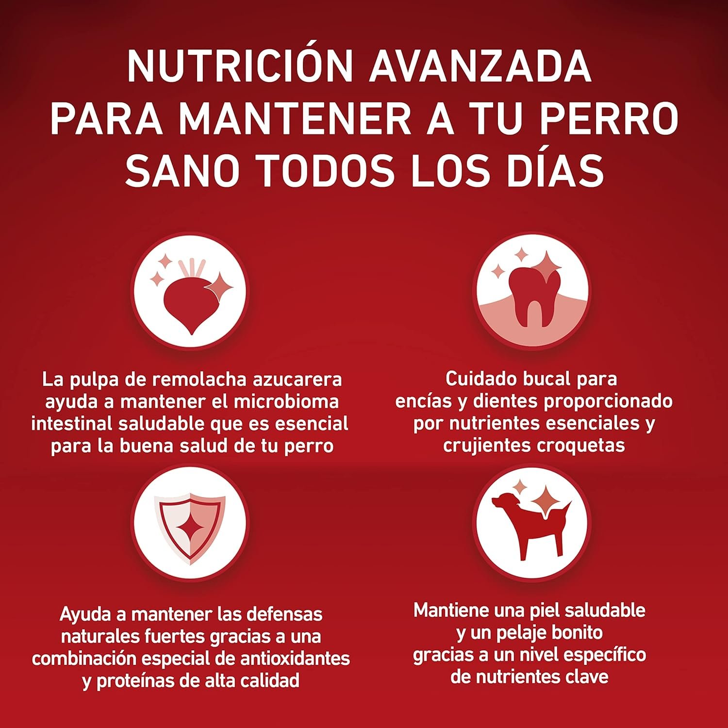 81VjA9oHQRL. AC SL1500 .jpg