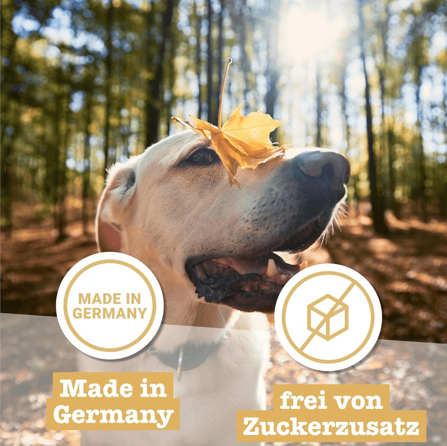 81VzegRhASL. AC SL1500 .jpg