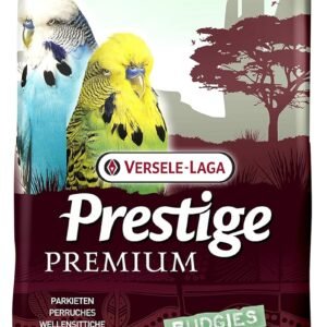 81W0eBLTzaS. SL1500 .jpg