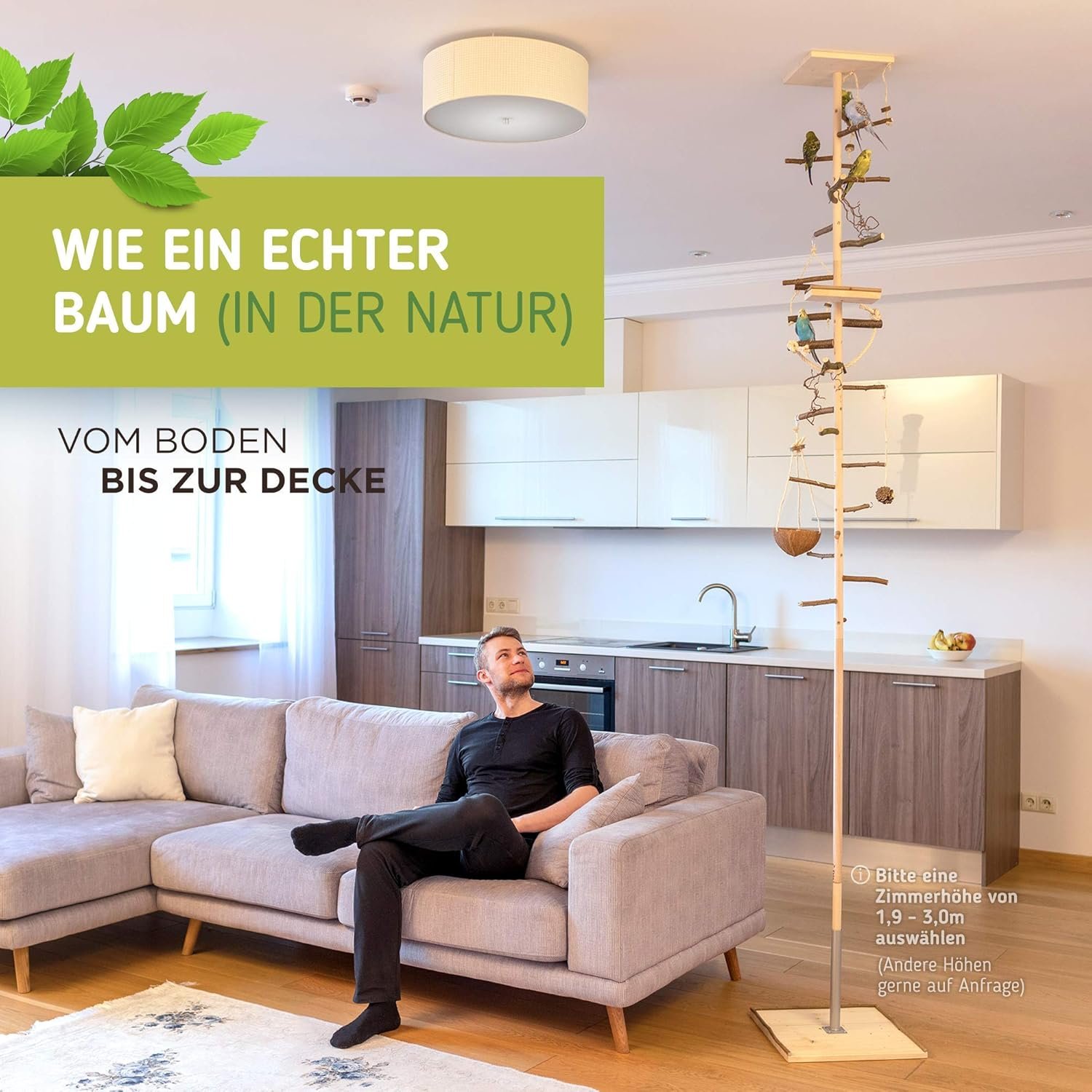 81WRXSkekGL. AC SL1500 .jpg