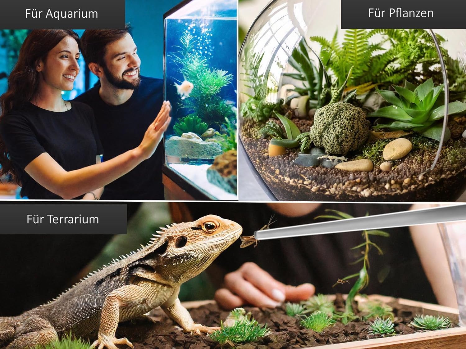 81WZR5COKzL. AC SL1500 .jpg