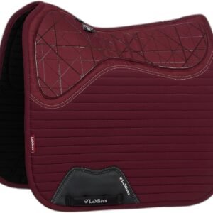 81WdjpL4SqL. AC SL1500 .jpg