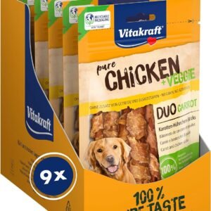 81Wi5JweiKL. AC SL1500 .jpg