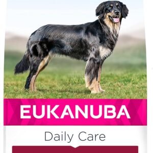 81XSYrZMyCL. AC SL1500 .jpg