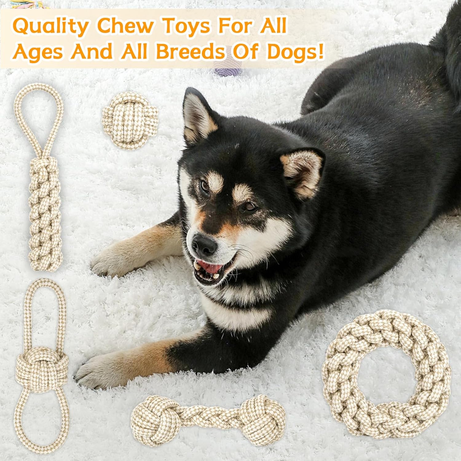 81XXmbPyPKL. AC SL1500 .jpg