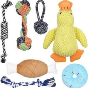 81Xd n yiKL. AC SL1500 .jpg