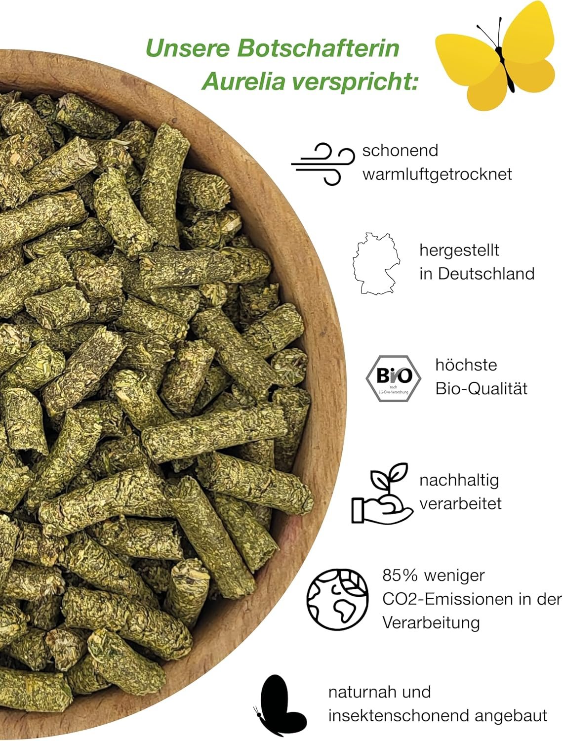 81Xew6x2EuL. AC SL1500 .jpg