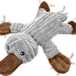 81XzNaf5HHL. AC SL1500 .jpg