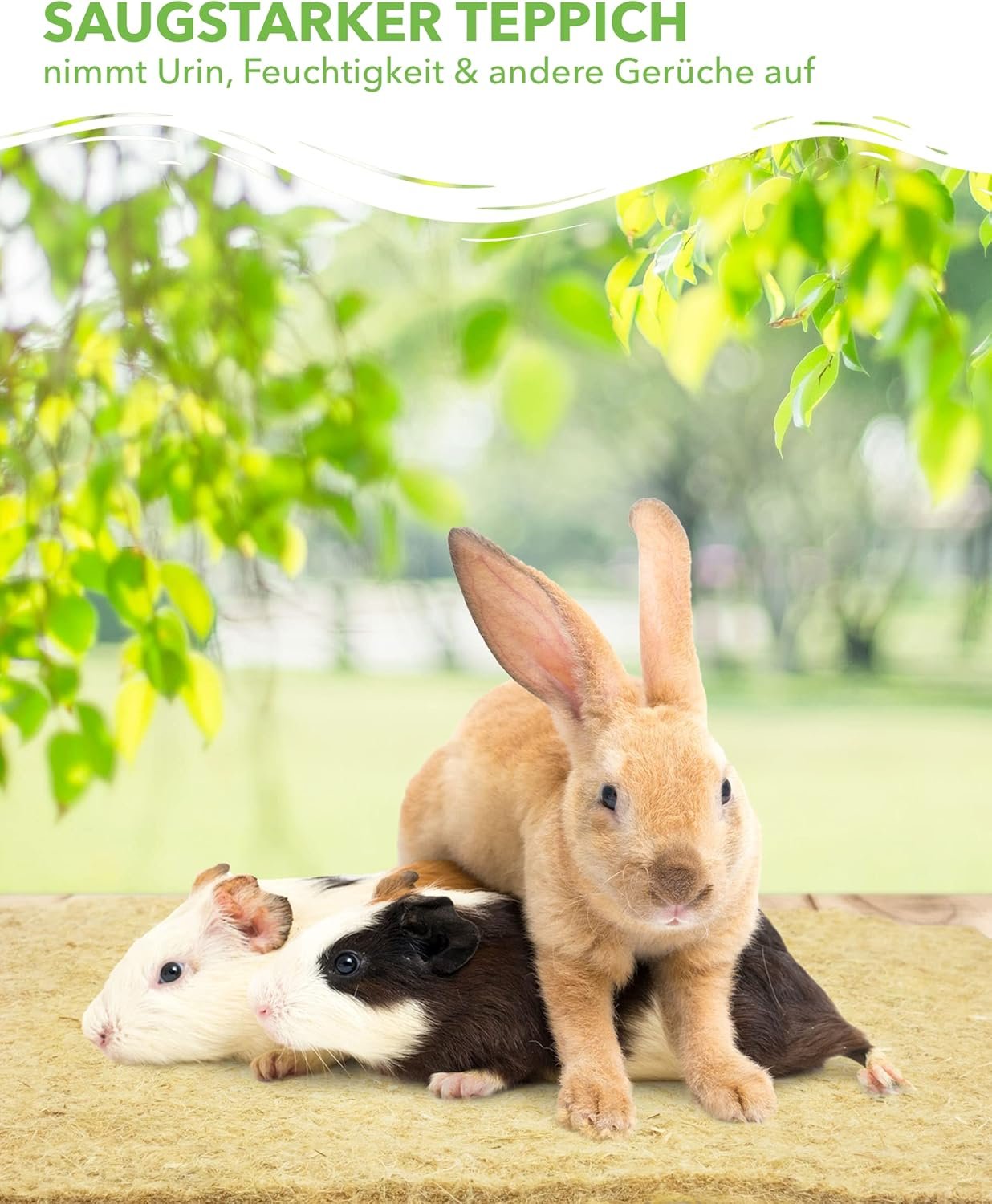 81Y1sZ 4B7L. AC SL1500 .jpg