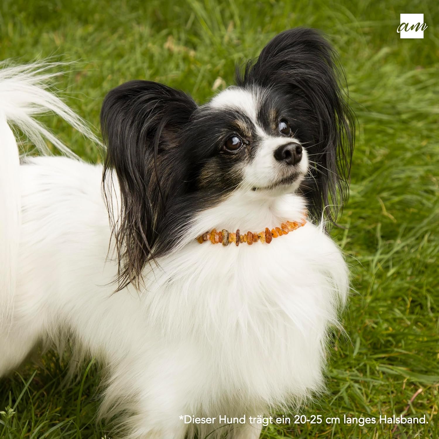 81YSHRM6z9L. AC SL1500 .jpg