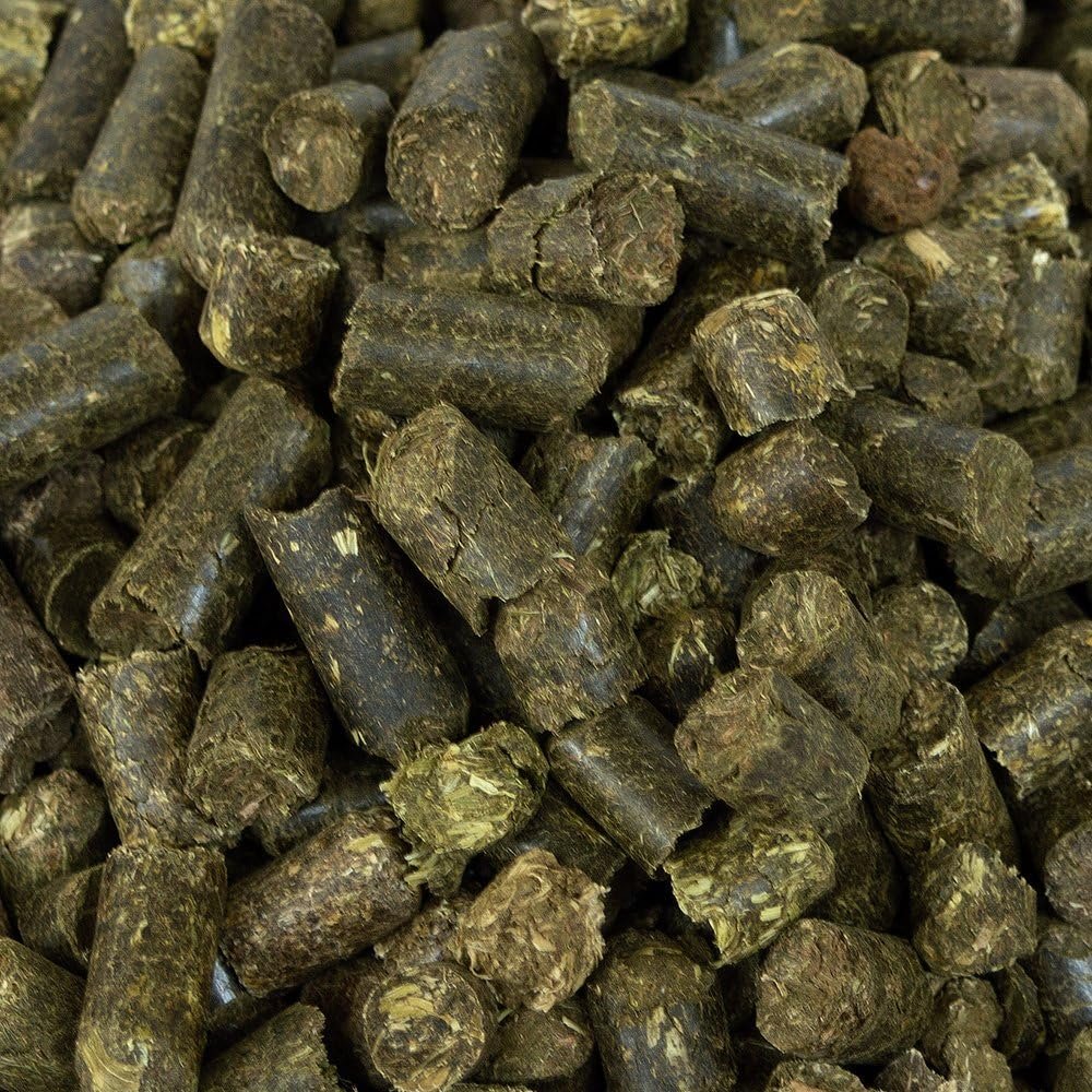 81YelXvRtgL. AC SL1000 .jpg