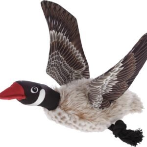 81Z2ZYNhXCL. AC SL1500 .jpg