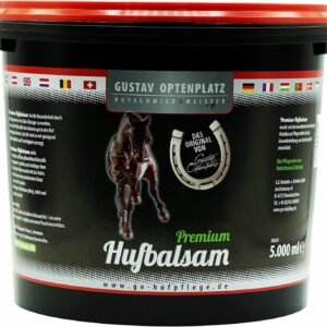 81Z3VZD3e5L. AC SL1500 .jpg