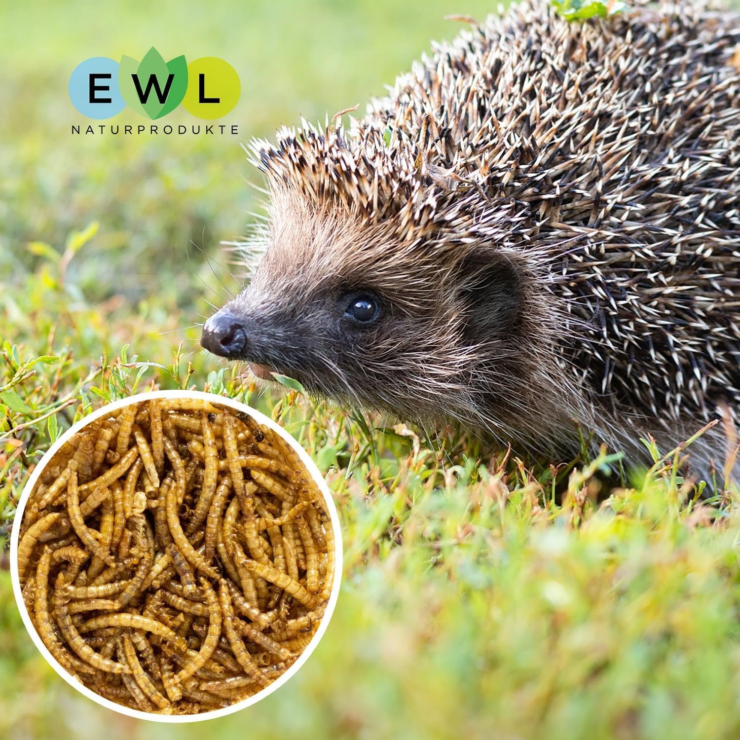 81ZlOTHmOtL. AC SL1500 .jpg