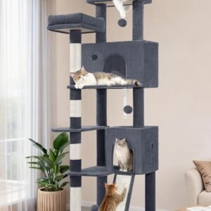 81ZzLjVFKLL. AC SL1500 .jpg