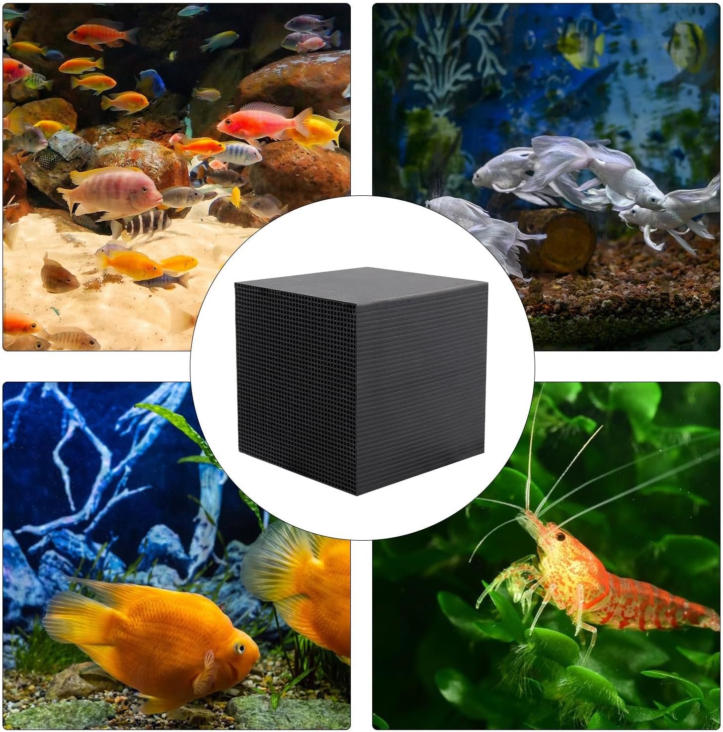 81apv3c1qqL. AC SL1500 .jpg