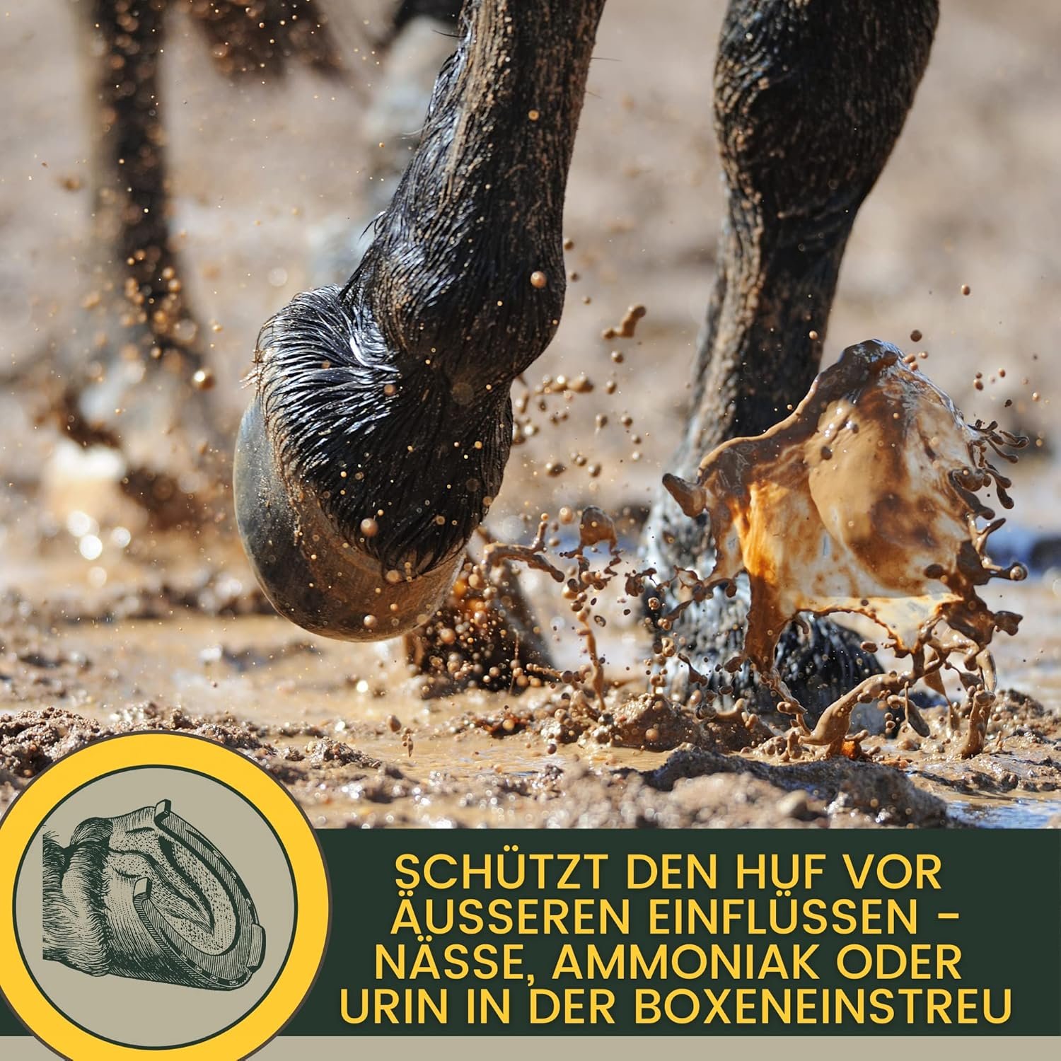 81b1XU098fL. AC SL1500 .jpg