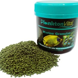 81btYXHLJL. AC SL1500 .jpg