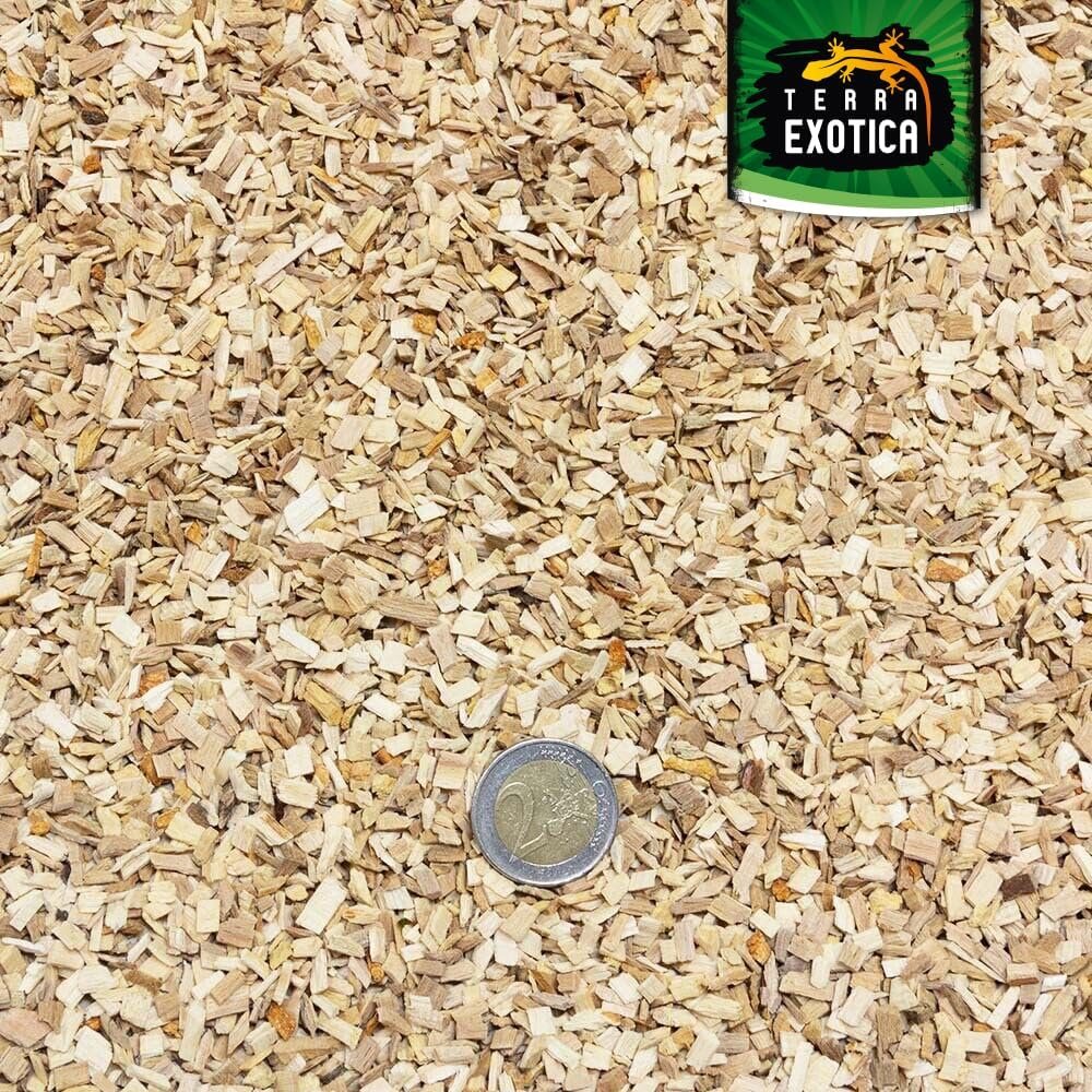 81cXjCYAQsL. AC SL1000 .jpg