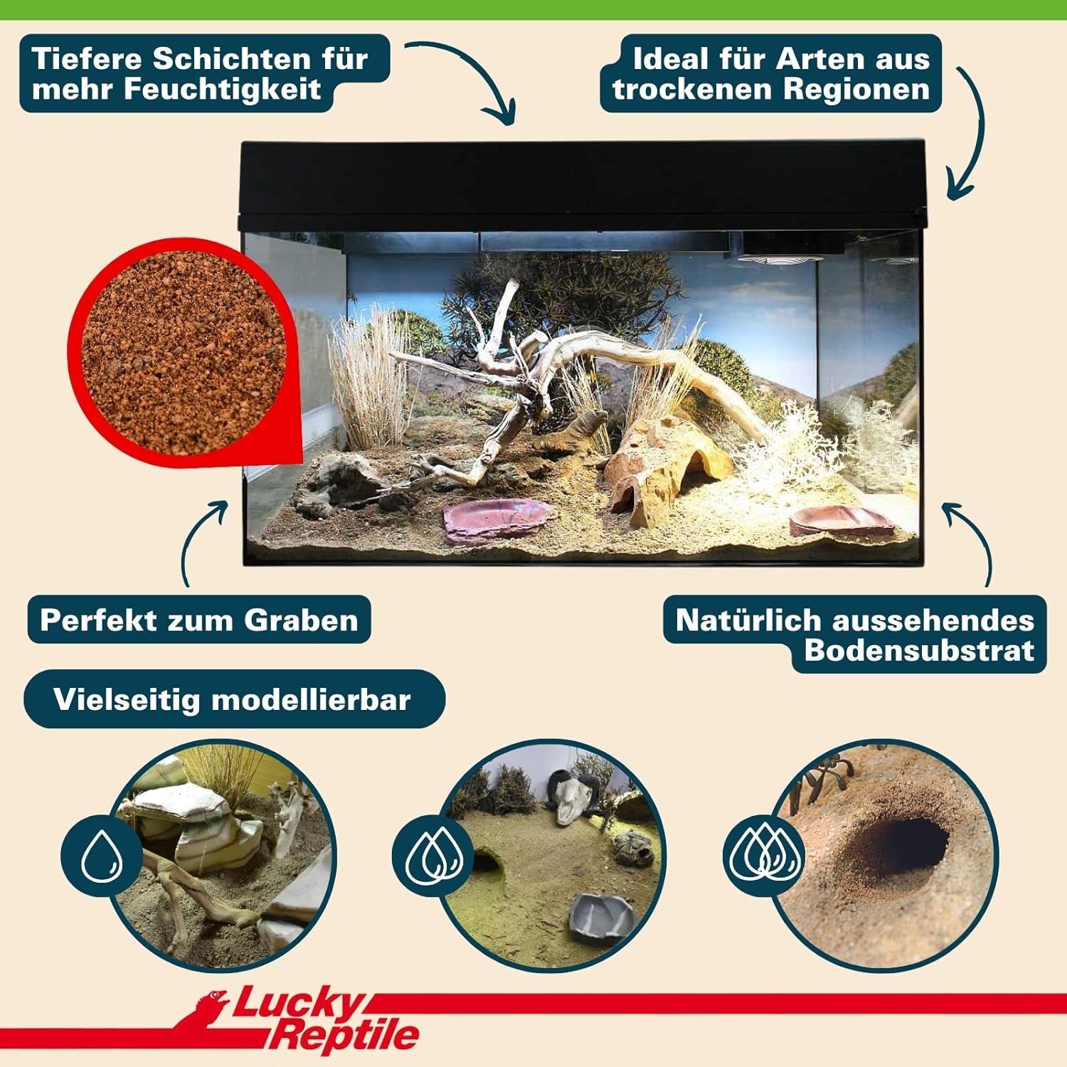 81cZbxfbVcL. AC SL1500 .jpg