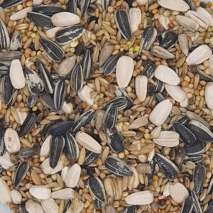 81clQeBSy1L. AC SL1500 .jpg