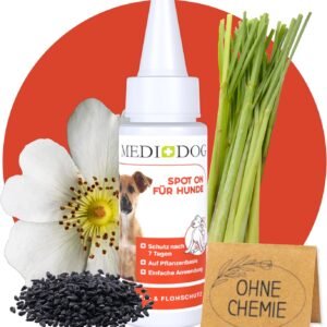 81cweqyhGFL. AC SL1500 .jpg