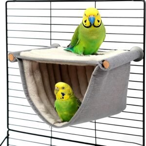 81dRo4v kVL. AC SL1500 .jpg