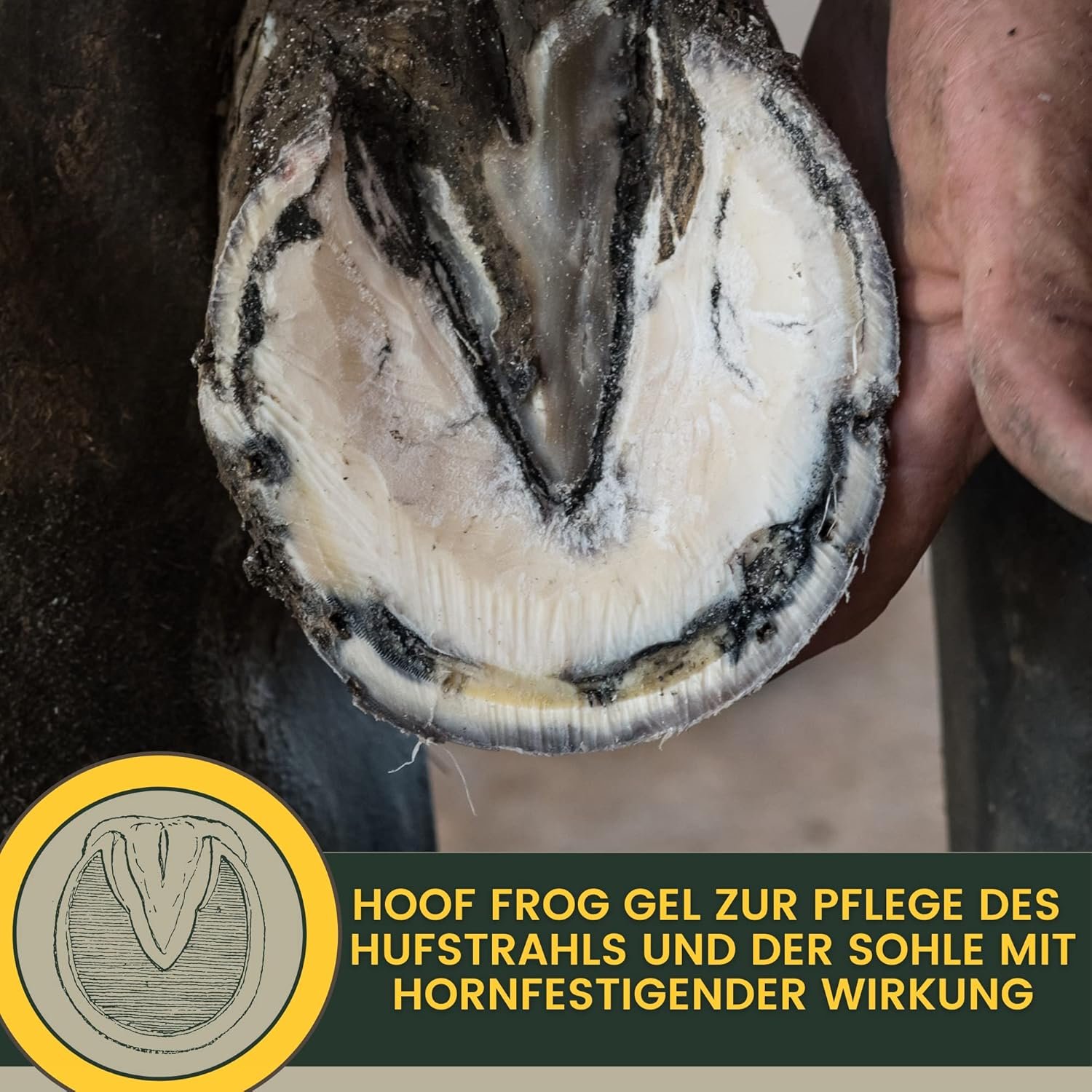 81dpmt4YYFL. AC SL1500 .jpg