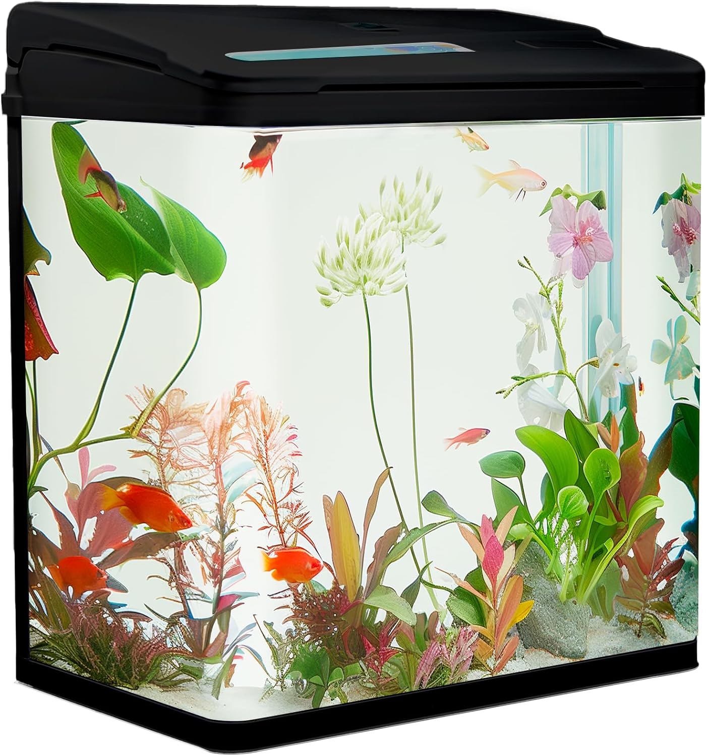 Aquarium Komplettset 30 Liter mit LED-Beleuchtung, Pumpe & Filter, 38 x 24 x 43 cm großes Glasbecken, gewölbte Frontscheibe für Panoramablick, Nano-Aquarium für Fische und Pflanzen, Schwarz Aquarium Komplettset 30 Liter mit LED-Beleuchtung, Pumpe & Filter, 38 x 24 x 43 cm großes Glasbecken, gewölbte Frontscheibe für Panoramablick, Nano-Aquarium für Fische und Pflanzen, Schwarz