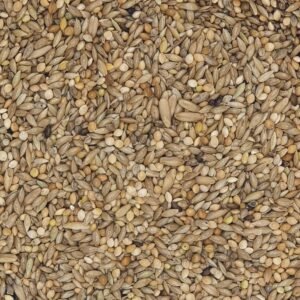 81eBMeo53gL. AC SL1500 .jpg