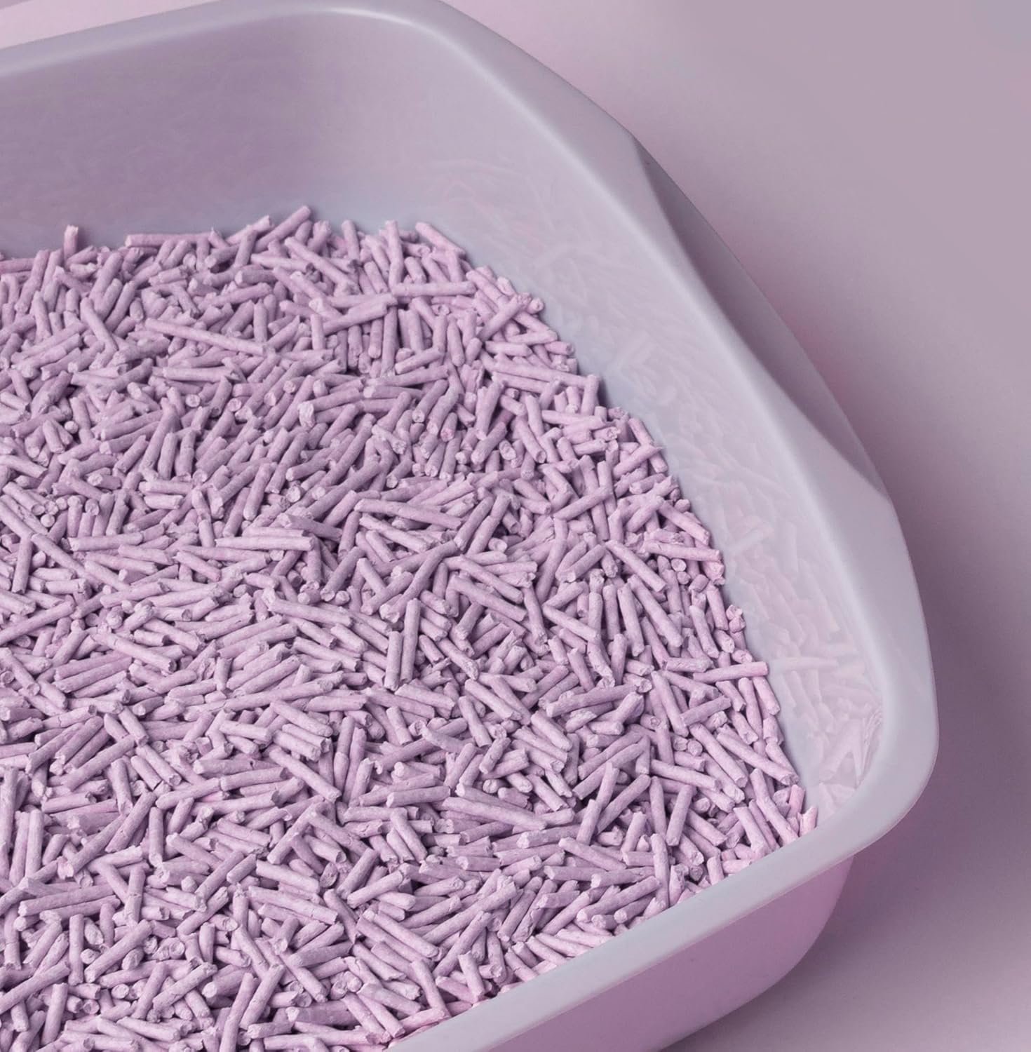 81eLamN G1L. AC SL1500 .jpg