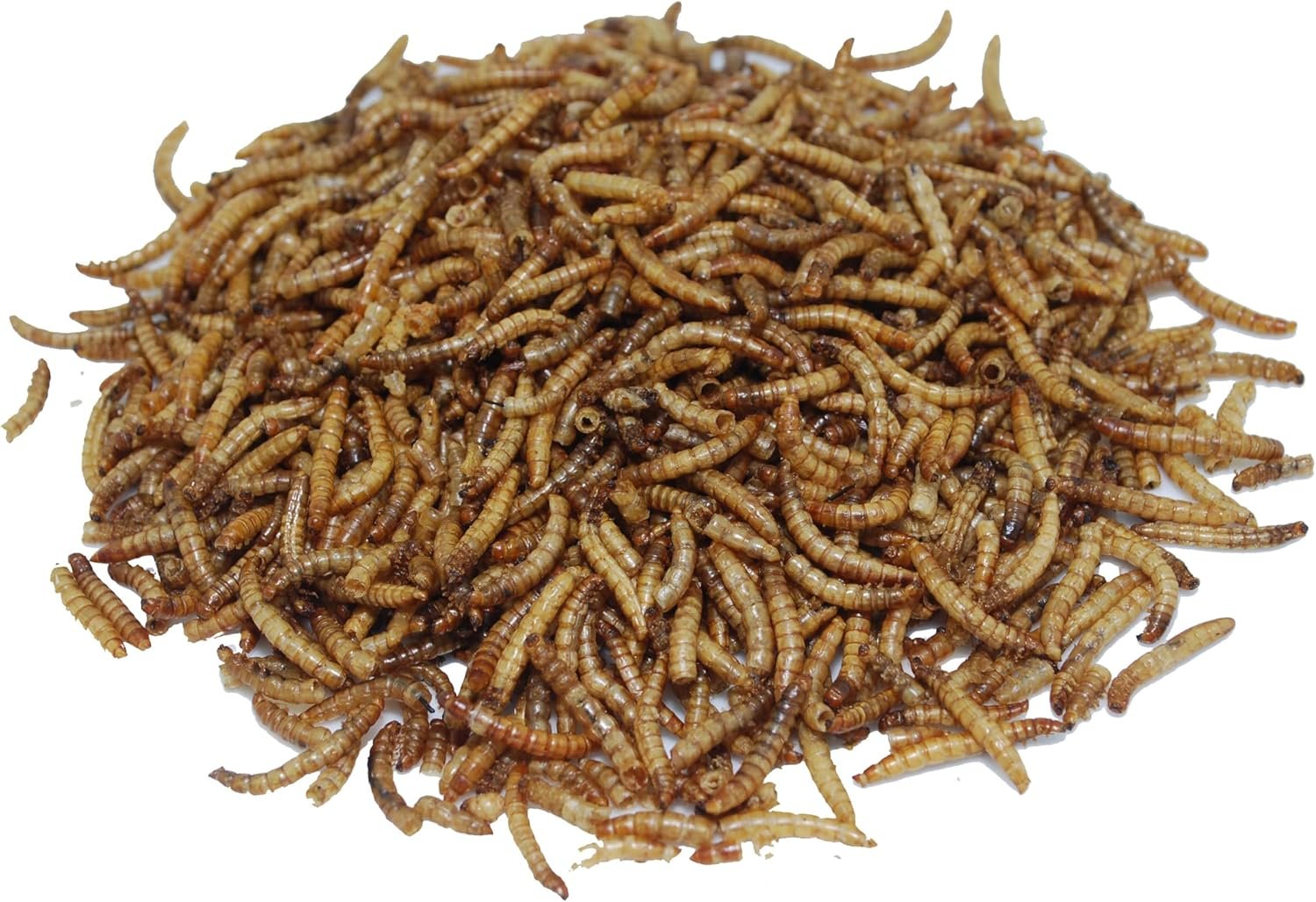 81ePiJ04DAL. AC SL1500 .jpg