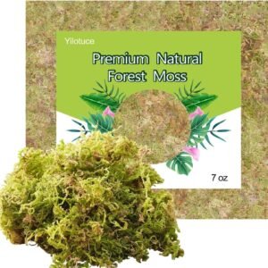 81f6fqWZywL. AC SL1500 .jpg