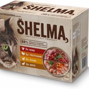 81fuOi0UAL. AC SL1500 .jpg