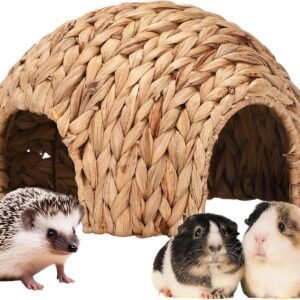 81g45gaDE6L. AC SL1500 .jpg