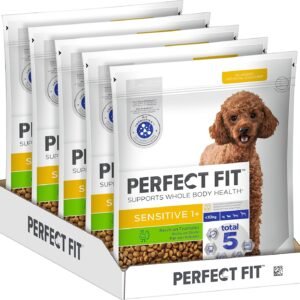 81gOZBczcoL. AC SL1500 .jpg