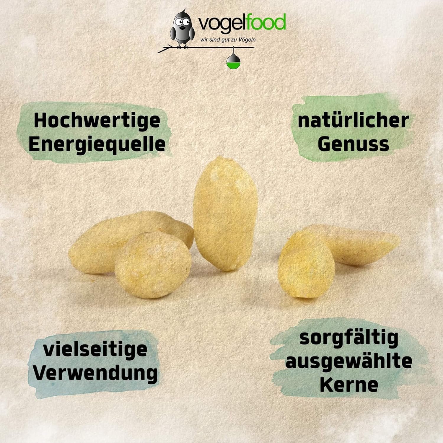 81h0KgE6TKL. AC SL1500 .jpg