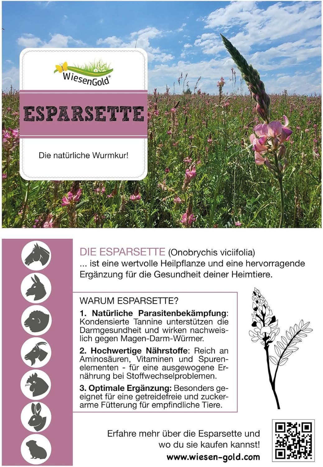 81hB6VfNH1L. AC SL1500 .jpg