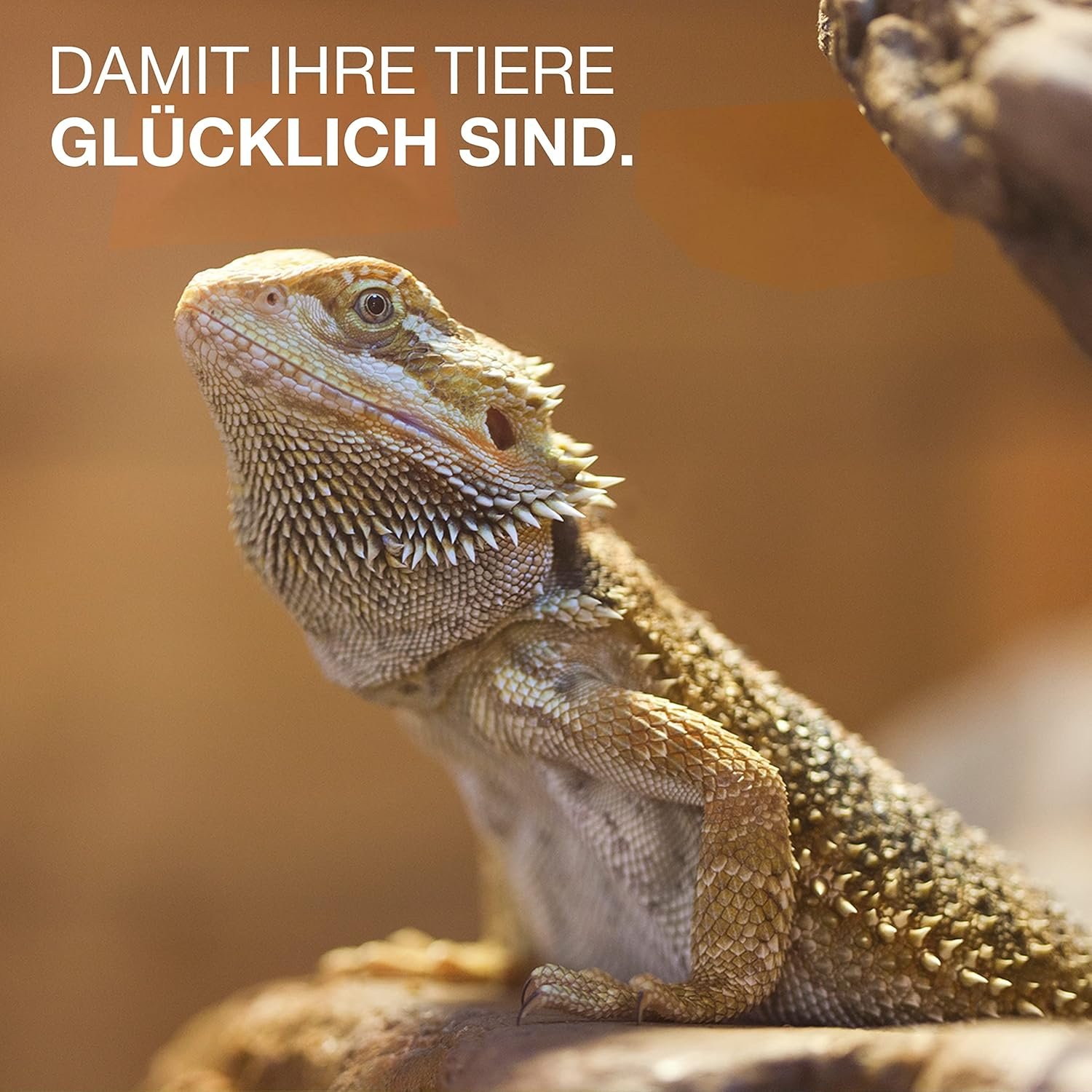 81i8XSySRL. AC SL1500 .jpg