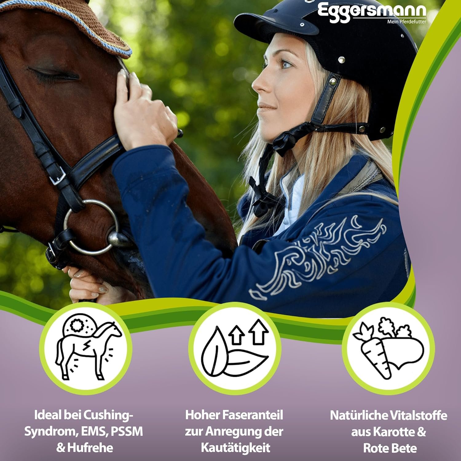 81j2ngZ9LNL. AC SL1500 .jpg