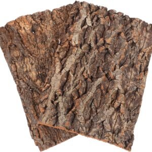 81jp2c2ayBL. AC SL1500 .jpg