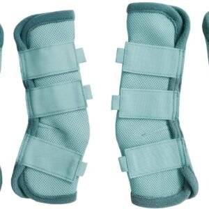 81jtMwGmzvL. AC SL1500 .jpg