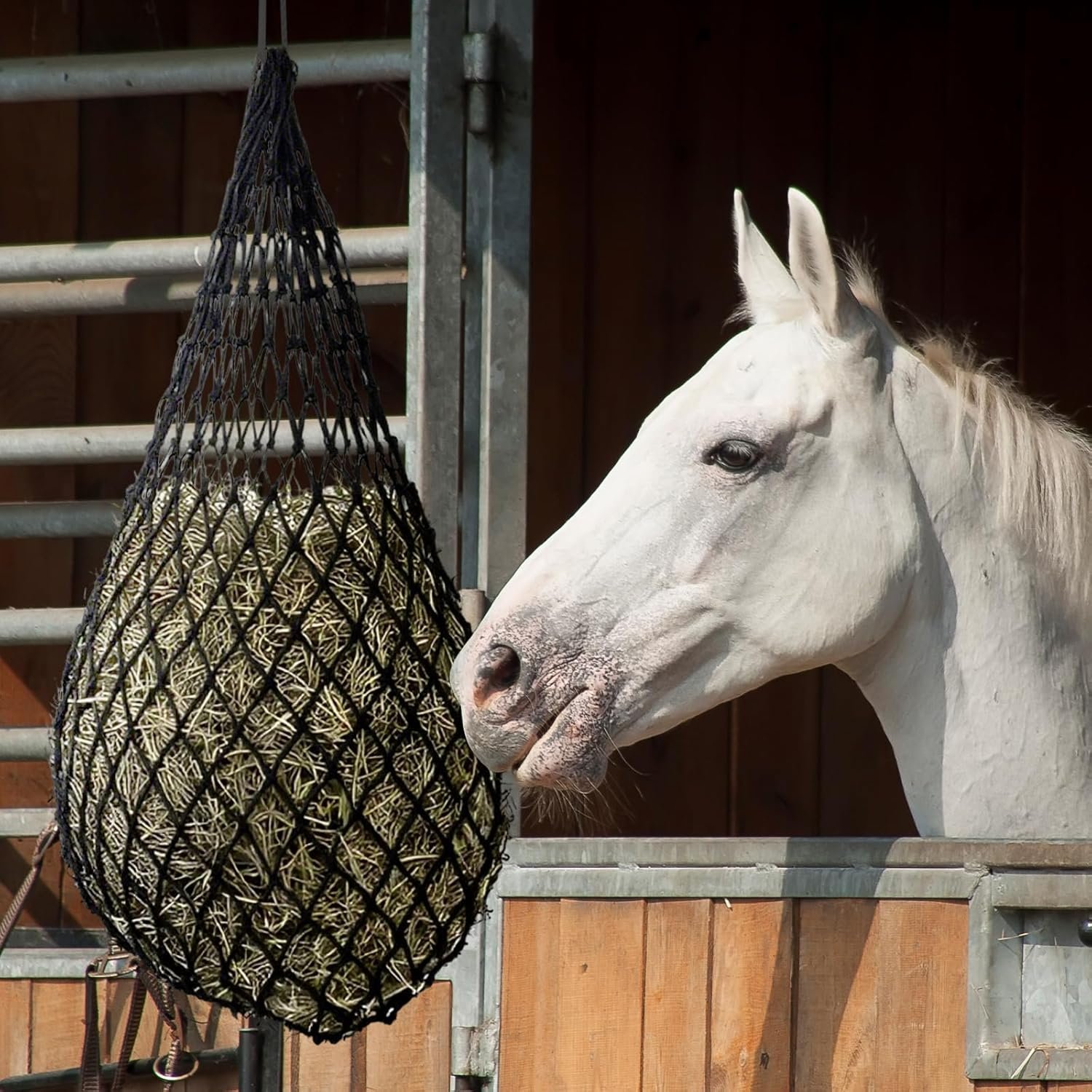 81jzFzS87L. AC SL1500 .jpg