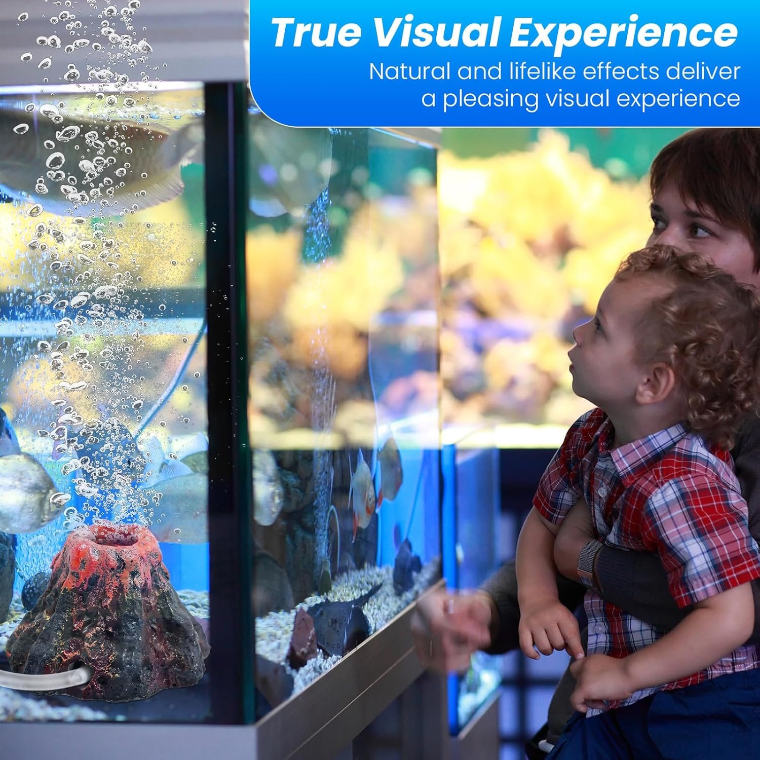 81jzmwMQL7L. AC SL1500 .jpg