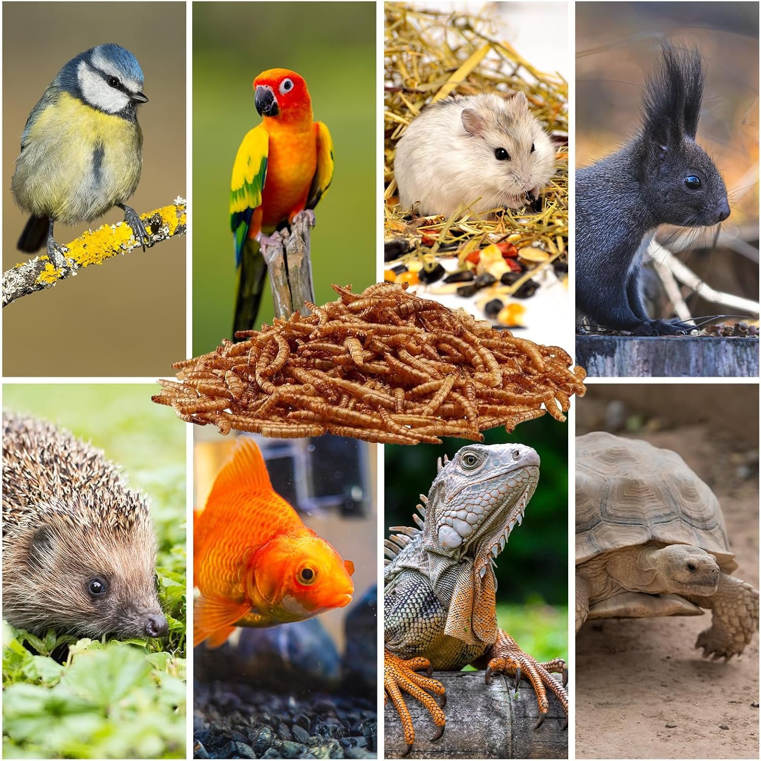 81kk4Efgl4L. AC SL1500 .jpg