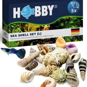 81liLh B8FL. AC SL1500 .jpg